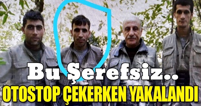 Batman'da eylem hazırlığındaki terörist yakalandı