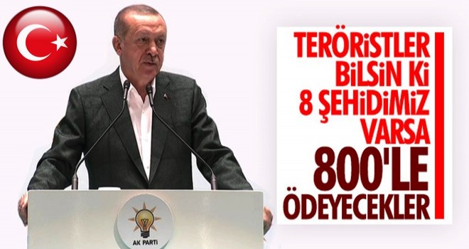 Başkan Erdoğan'dan terörle mücadelede kararlılık mesajı