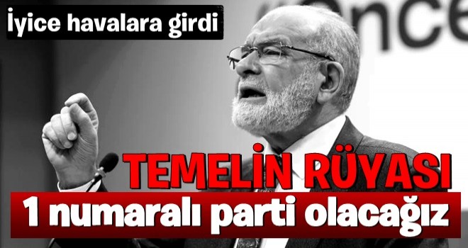 Temel Karamollaoğlu'ndan iddialı sözler: 1 numaralı parti olacağız