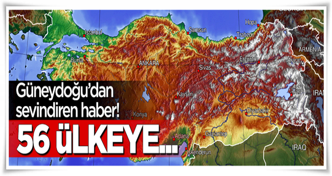 Güneydoğu'dan 56 ülkeye bulgur ihracatı