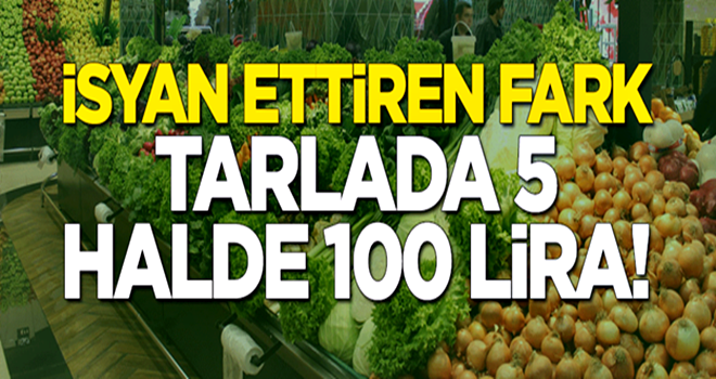 İsyan ettiren fark: Tarlada 5, halde 100 lira!