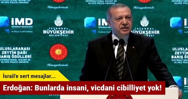 Erdoğan: Bunlarda insani, vicdani cibilliyet yok!