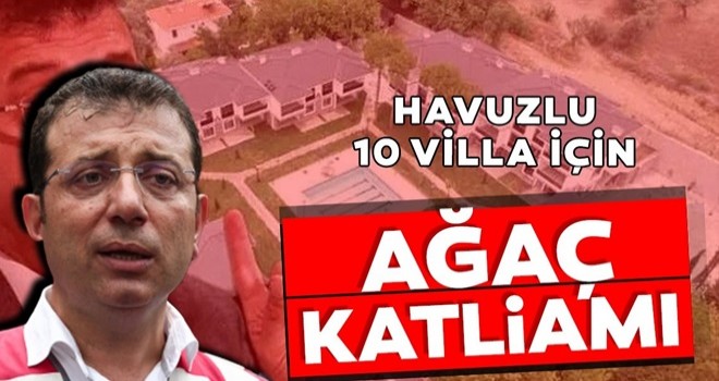 Havuzlu 10 villa için ağaç katliamı