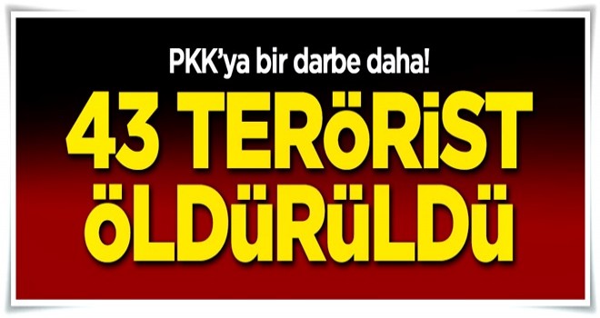 PKK'ya bir darbe daha! 43 terörist öldürüldü