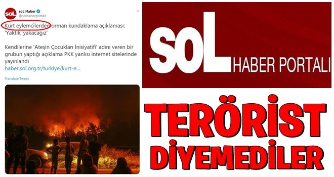 Orman yakan PKK'lılara terörist diyemediler! .