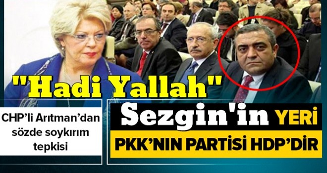 CHP'li eski vekil Dr. Canan Arıtman'dan sözde Ermeni soykırımını savunan Sezgin Tanrıkulu'na büyük tepki