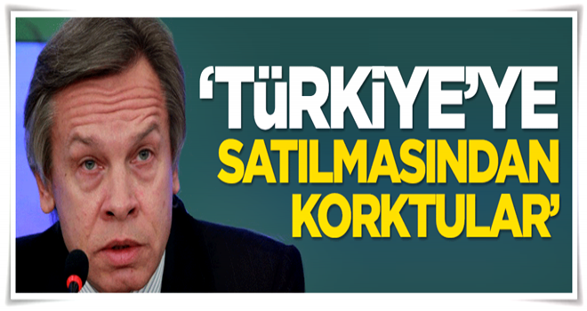 Rus senatör: Türkiye'ye satılmasından korktular