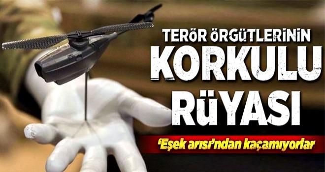 'Eşek arısı' İHA'lar teröristlerin korkulu rüyası oldu