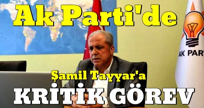 AK Parti'de Şamil Tayyar'a kritik görev