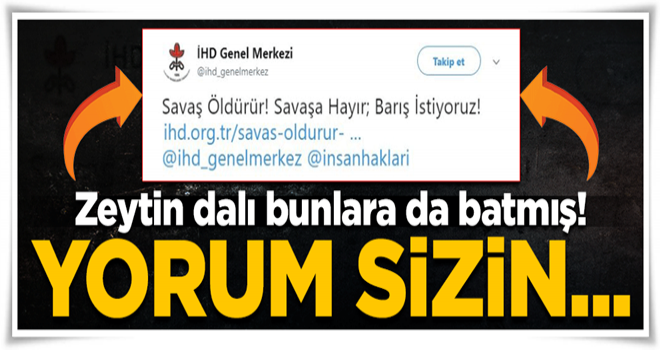 İnsan Hakları Derneği Türkiye düşmanlarına üzülüyor