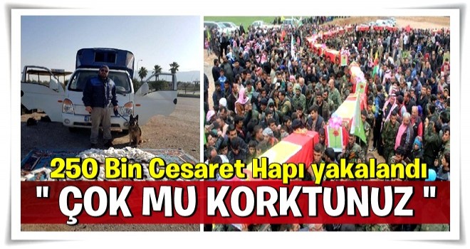 YPG'ye giden 250 bin cesaret hapı yakalandı!