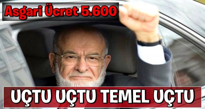 Temel Karamollaoğlu'ndan komik asgari ücret vaadi