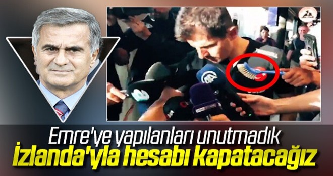 Şenol Güneş: İzlanda'dan rövanşı alalım