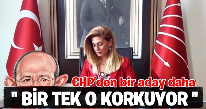 CHP'li Didem Engin de Cumhurbaşkanlığı adaylığını açıkladı