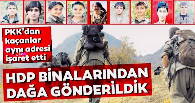 "HDP binalarından dağa gönderildik" .