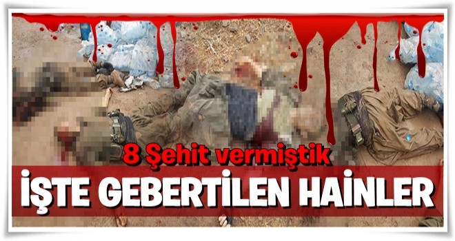 8 şehit vermiştik, işte çatışmada öldürülen teröristler