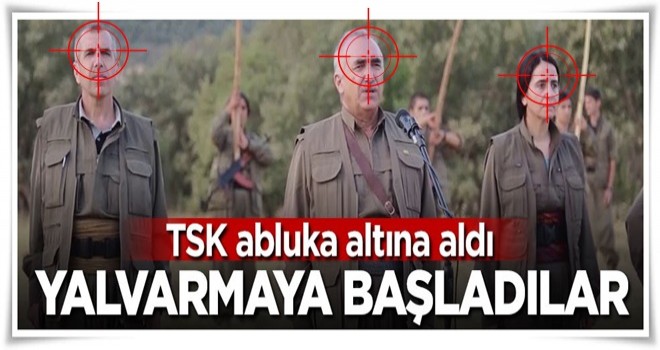 TSK abluka altına aldı, yalvarmaya başladılar