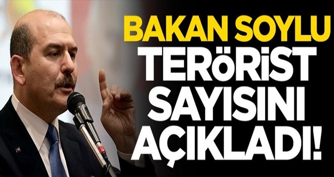 Bakan Soylu terörist sayısını açıkladı!