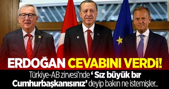 Erdoğan'dan AB'ye: Adaletten büyük değilim