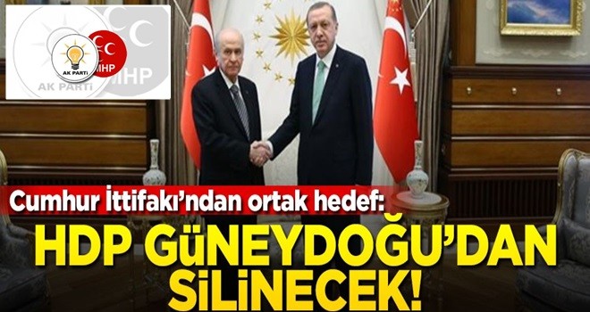 AK Parti ve MHP'den ortak hedef: HDP Güneydoğu'dan silinecek!