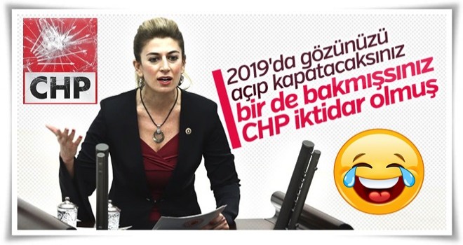 CHP'li Didem Engin'den 2019 için iddialı çıkış