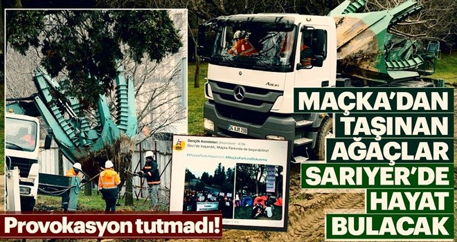 Maçka Parkı’ndan ağaç taşıma işlemi sona erdi