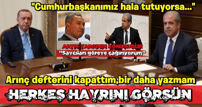 Şamil Tayyar'dan ilginç Bülent Arınç açıklaması! "Cumhurbaşkanımız hala tutuyorsa..."