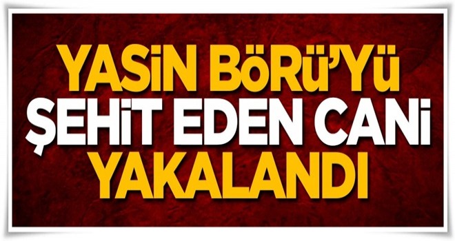 Yasin Börü'yü şehit eden cani yakalandı!