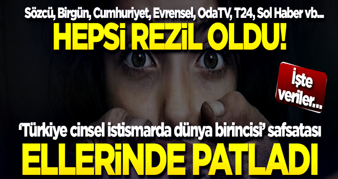 'Türkiye cinsel istismarda dünya birincisi' safsatası ellerinde patladı! İşte veriler