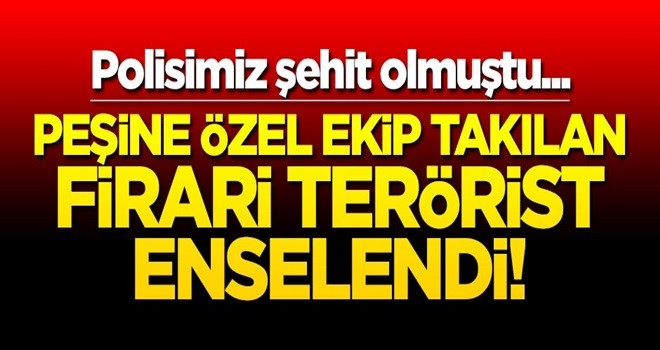 Polisimiz şehit olmuştu... Peşine özel ekip takılan firari terörist enselendi!