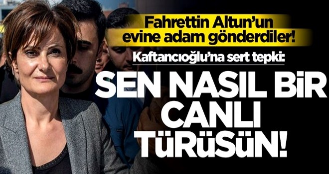 Fahrettin Altun'un evine adam gönderdiler! Canan Kaftancıoğlu'na sert tepki: Nasıl bir canlı türüsün?