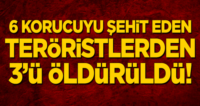 6 korucuyu şehit eden teröristlerden 3'ü öldürüldü!