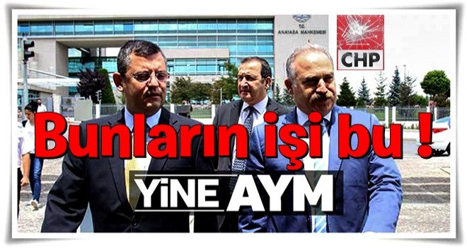 CHP içtüzük değişikliğini AYM'ye taşıyor