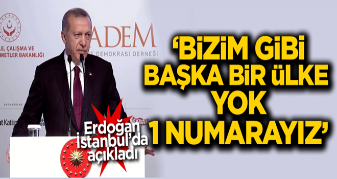 Başkan Erdoğan: Bizim gibi başka bir ülke yok 1 numarayız