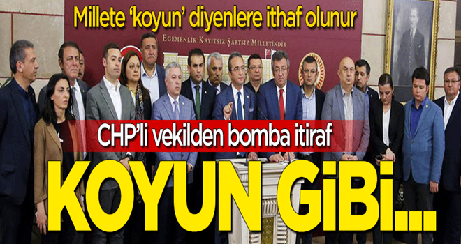 CHP'li vekilden bomba itiraf: Kurbanlık koyun gibi...