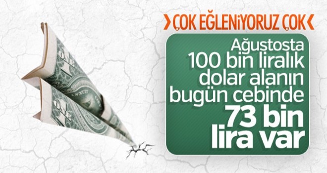 7 liradan dolar alanların zararı