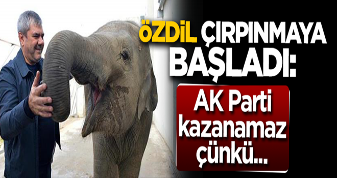 Yılmaz Özdil çırpınmaya başladı: AK Parti kazanamaz çünkü...