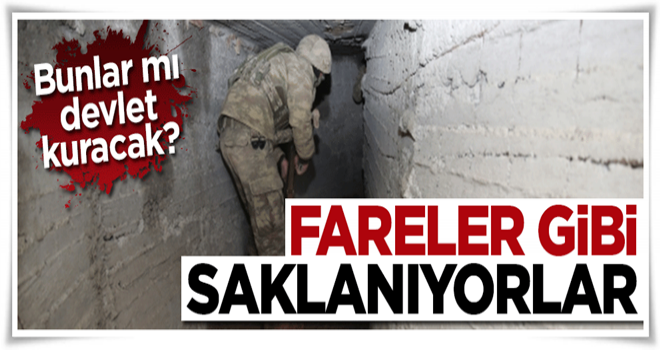 Fareler gibi saklanıyorlar