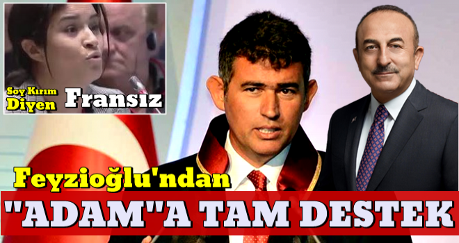 Metin Feyzioğlu'ndan Dışişleri Bakanı Çavuşoğlu'na tam destek