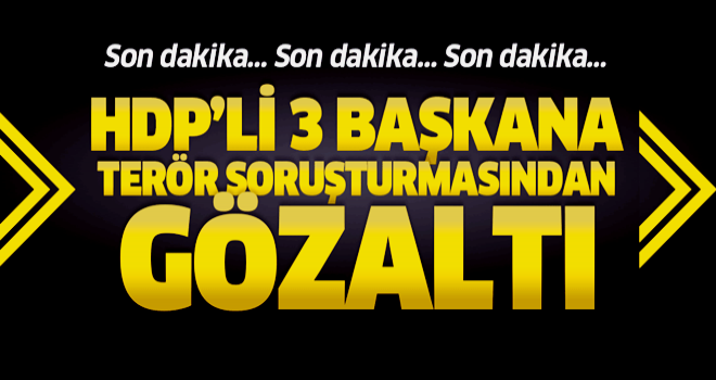 HDP'li Muradiye, Özalp ile Başkale belediye başkanlarına gözaltı.