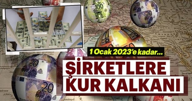 Şirketlere kur kalkanı