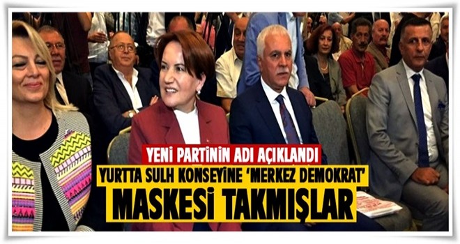 Meral Akşener'in kuracağı yeni partinin ismi belli oldu