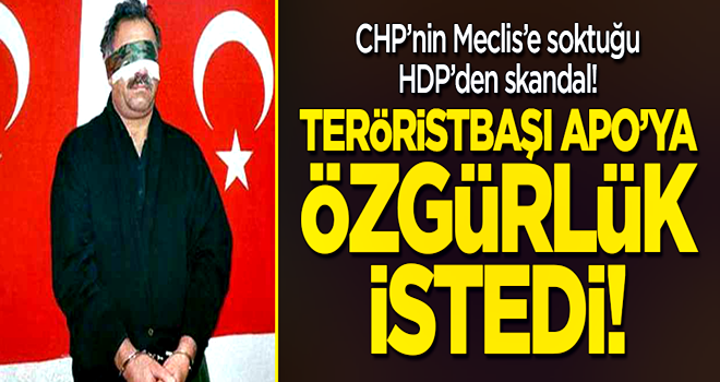 HDP'li Pervin Buldan'dan skandal! Teröristbaşı Öcalan'a özgürlük istedi