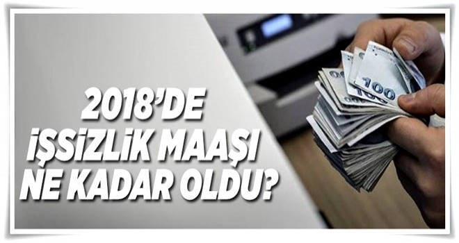 İşsizlik maaşı ne kadar oldu? - 2018 işsizlik maaşı .