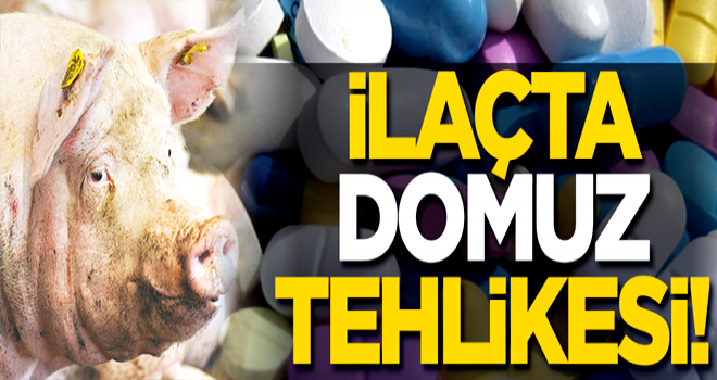 İlaçta ‘Domuz’ tehlikesi!