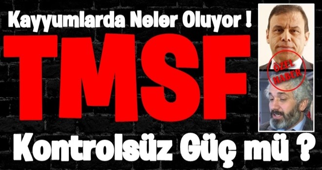 TMSF kontrolsüz güç mü ?