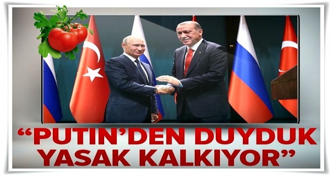 Ekonomi Bakanı Zeybekci: Putin'in ağzından duyduk, domates yasağı kalkıyor .