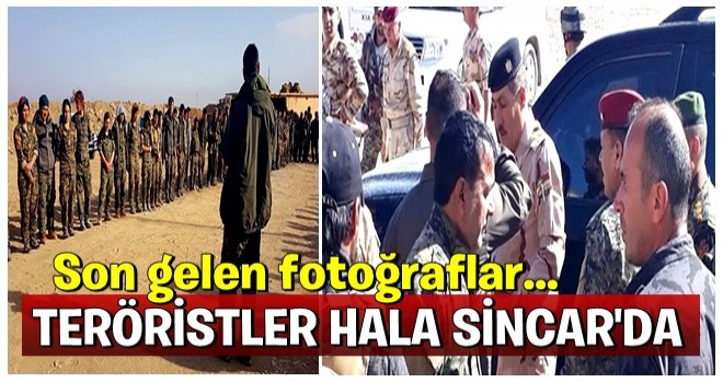 Teröristler hala Sincar'da