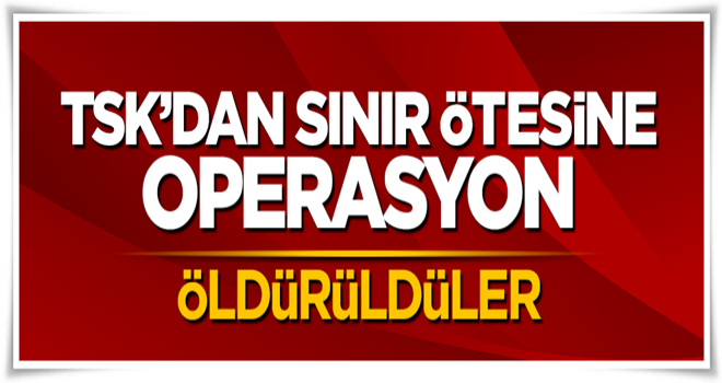 TSK'dan Kuzey Irak'a operasyon! Öldürüldüler