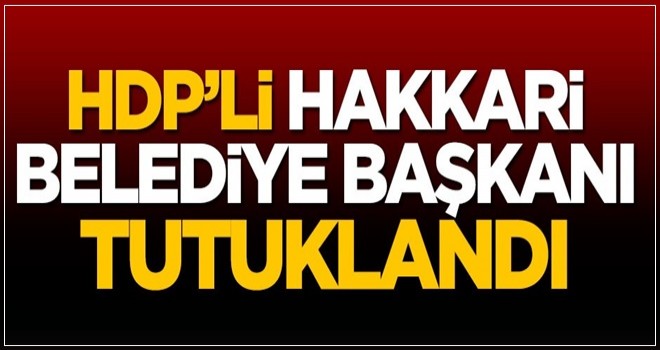 HDP'li Hakkari Belediye Başkanı tutuklandı